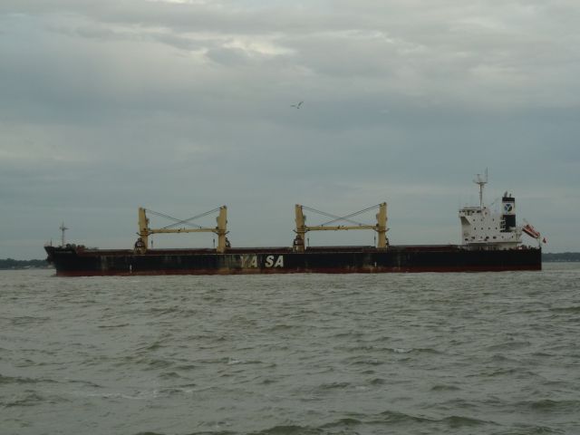 Yasa Kaptan Erbil - estuaire - 27 octobre 2011 (12).JPG